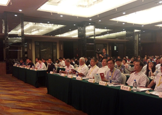 两岸业界人士再聚海峡论坛 聚焦防灾减灾交流合作 两岸业界人士再聚海峡论坛 聚焦防灾减灾交流合作